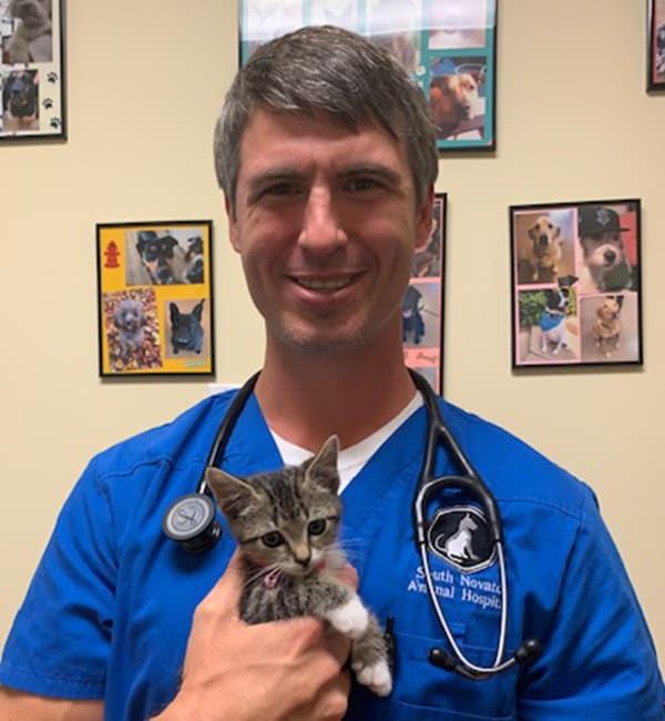 Dr. Justin Bonetto, Novato Veterinarian & Medical Director