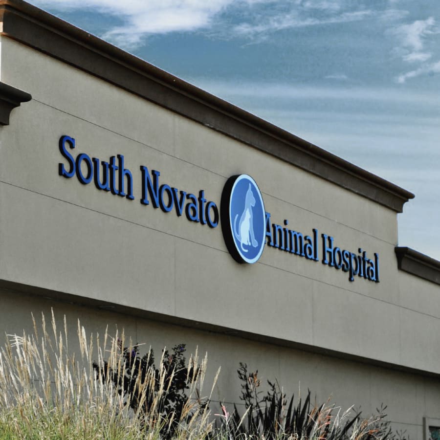 South Novato Animal Hospital in Novato